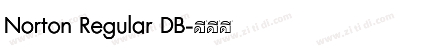 Norton Regular DB字体转换
